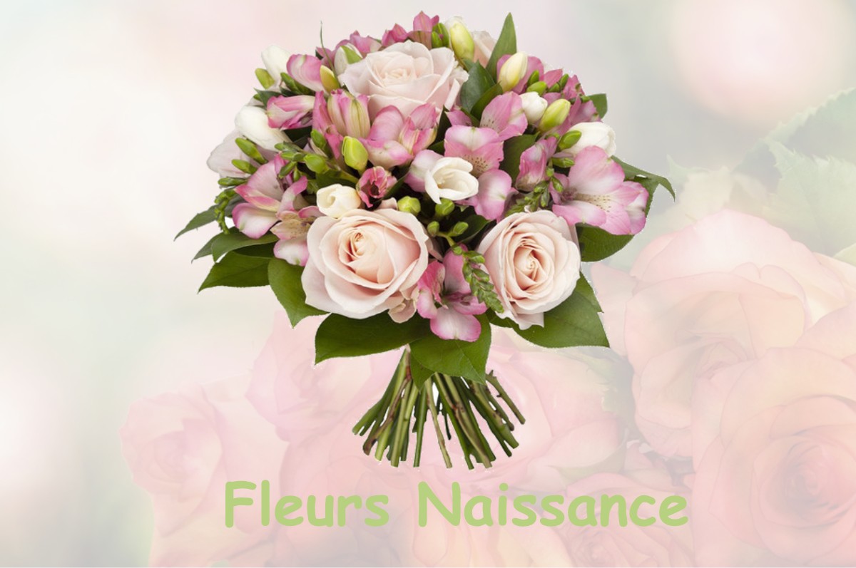 fleurs naissance ABERGEMENT-LE-PETIT