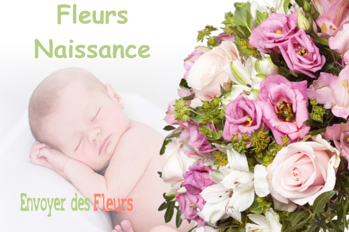 lIVRAISON FLEURS NAISSANCE à ABERGEMENT-LE-PETIT